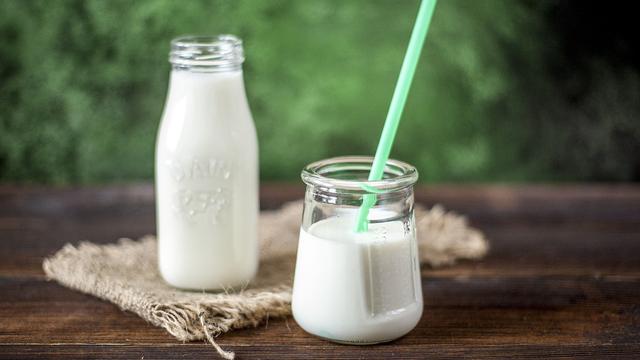 Manfaat Probiotik Pada Produk Susu Anak